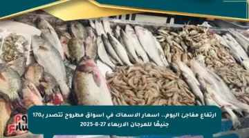 ارتفاع مفاجئ اليوم.. أسعار الأسماك في أسواق مطروح تتصدر بـ170 جنيهًا للمرجان الأربعاء 27-8-2025